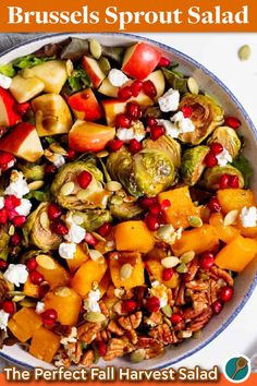 A vibrant Brussels Sprout Salad with roasted butternut squash, apples, pomegranate, pumpkin seeds, pecans, and crumbled goat cheese. Perfect for fall and holiday meals. Fall Harvest Salad, Brussel Sprout Salad Recipes, Pumpkin Dump Cake Recipe, Brussels Sprout Salad, Honeycrisp Apple, Fall Meals, Sprout Salad, Dump Cake Pumpkin, Apple Pumpkin