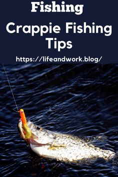 a fish with a fishing hook in it's mouth and the words, fishing crappie fishing tips