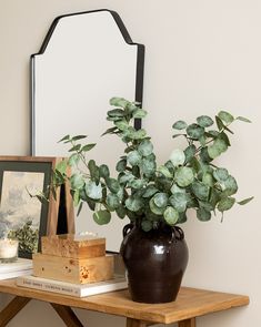 a potted plant sitting on top of a wooden table next to a framed mirror