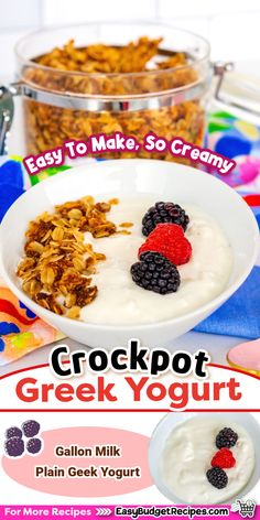 a bowl of greek yogurt with berries and granola on top, next to a bowl of cereal