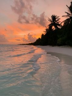 the sun is setting over an ocean with palm trees in the background and water on the beach