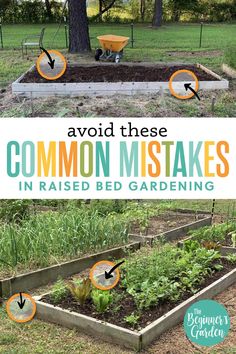 an image of the garden with words on it that says, avoid these common mistakes in raised bed gardening