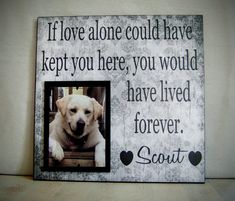 a dog is sitting in front of a sign that says if love alone could have kept you here, you would have lived forever