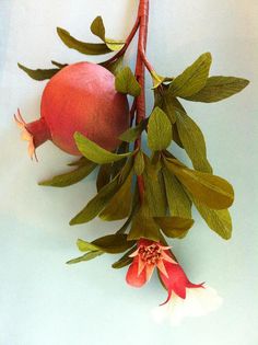 a pomegranate with green leaves and red flowers