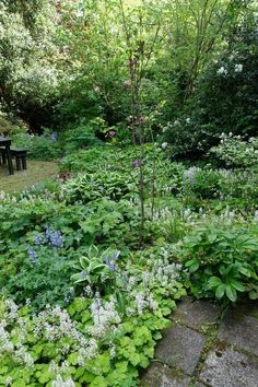 a garden filled with lots of green plants and flowers