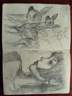 Drawing In Nature Aesthetic, Self Portraits Drawings, Deer Drawing Sketches, Calm Drawing, Reflection Drawing, Deer Drawing, A Deer