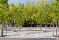 an empty parking lot with trees in the middle and white tiles on the ground between them