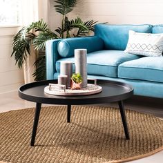 a living room with a blue couch, coffee table and potted plant on the rug