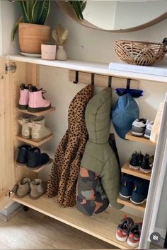 a shelf filled with lots of shoes next to a potted plant