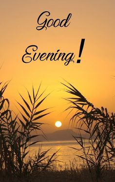 the sun is setting behind some tall grass and there are words that say good evening