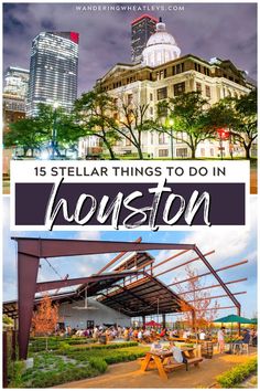 the top things to do in houston, texas with text overlay that reads 15 stellar things