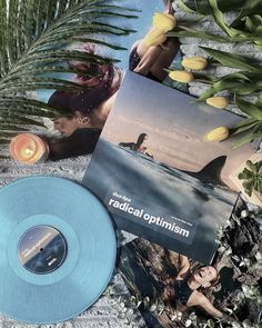 an image of a blue vinyl record next to some plants and flowers on the ground