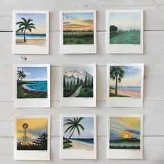 several pictures are hanging on the wall with palm trees and watercolors in them