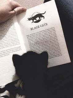 a person is reading a book with a cat