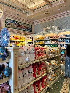 there are many stuffed animals on the shelves in this store, and one girl is looking at them