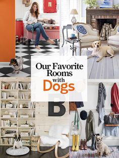 a woman sitting on a chair in front of a fireplace next to a dog and bookshelf