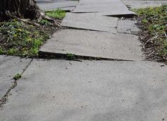 the sidewalk is broken and has little grass growing on it