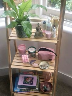 a wooden shelf with various items on it next to a potted plant and window