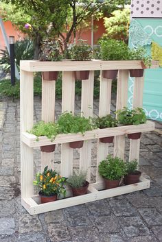 several potted plants are placed on a wooden shelf in the middle of a cobblestone walkway