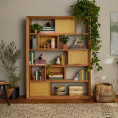 a bookshelf filled with lots of books next to a potted plant on top of a rug