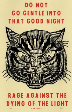 a poster with an image of a cat's face and the words, do not go gentle into that good night rage against the dying of the light