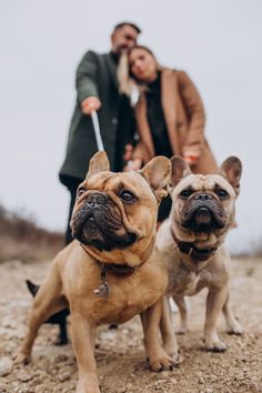 a man and woman walking two dogs on a dirt road in front of the camera