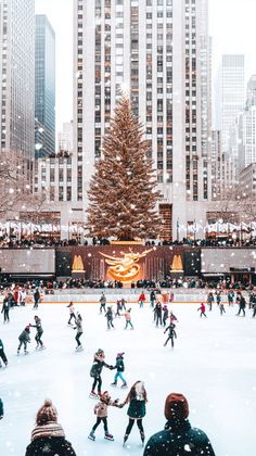 people skating on an ice rink in front of a christmas tree and tall buildings with lights