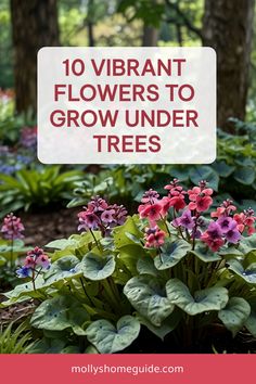 flowers and trees with text overlay that reads 10 vibrant flowers to grow under trees