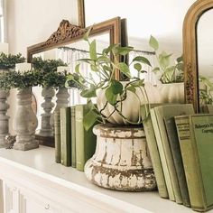 there are many books on the mantle with plants in vases next to each other