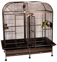 two parrots are sitting in the same cage