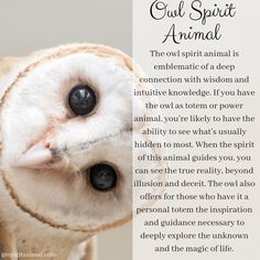 an owl is shown with the caption for its spirit