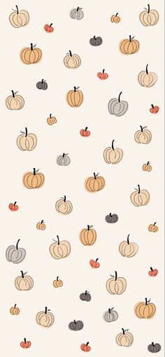 a bunch of pumpkins that are on a white background with orange and gray ones