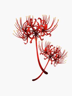 two red flowers on a white background in the air with long stems sticking out of them