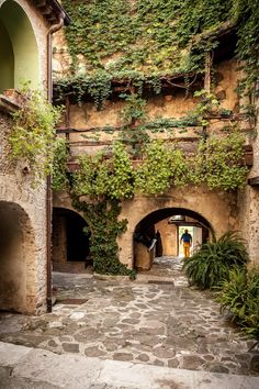 an alley way with ivy growing on the walls and stone steps leading up to it