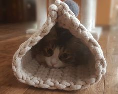 a cat in a knitted basket on the floor