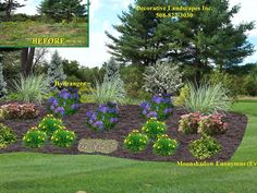 a garden with various plants and flowers in the ground, along with other landscaping items