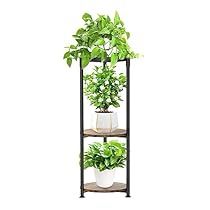 three tiered plant stand with potted plants