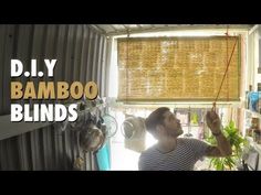 a man hanging bamboo blinds on the side of a window in front of a potted plant