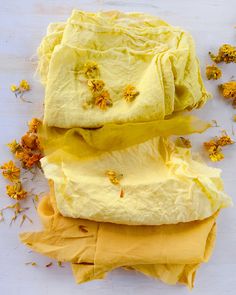 several pieces of yellow paper with dried flowers on them