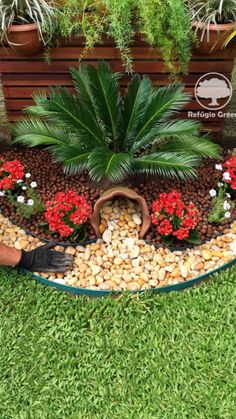 a garden with plants and rocks in it