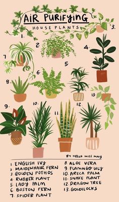 Haben Sie schon einmal Pampasgras gesehenDie Pflanzedie auch unter dem wissenschaftlichen Namen Cortaderia selloana bekannt istsieht wirklich attraktiv ausDeshalb ist es nicht zum Wundern,... Plant Chart, Plants Bedroom, Plants In Pots, Potted Houseplants