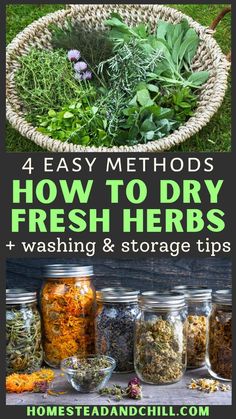 herbs and herbs in jars with the title how to dry fresh herbs + washing & storage tips