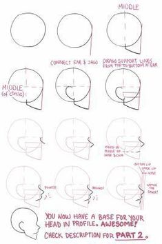 how to draw the human head from different angles and directions for each part of the face