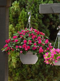 two hanging flower pots filled with pink flowers