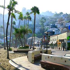 an empty street with palm trees and buildings in the background