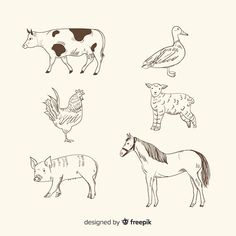 various farm animals and birds drawn by hand