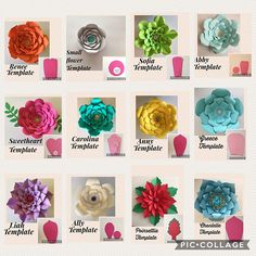 many different types of paper flowers are shown in this image, with the names below them