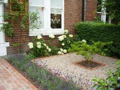 a garden with flowers and plants in front of a brick building next to a white window