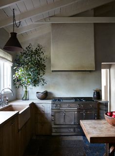 a kitchen with an old fashioned stove and potted plant in the window sill