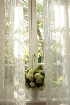 a vase filled with white flowers sitting in front of a window covered in sheer curtains